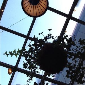 Meet your Posher, Frankie